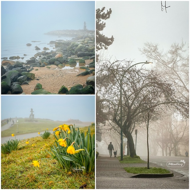 Fog in Vancouver - Miss604 photos