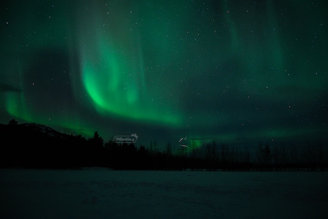 What a night! Miss604 photo.