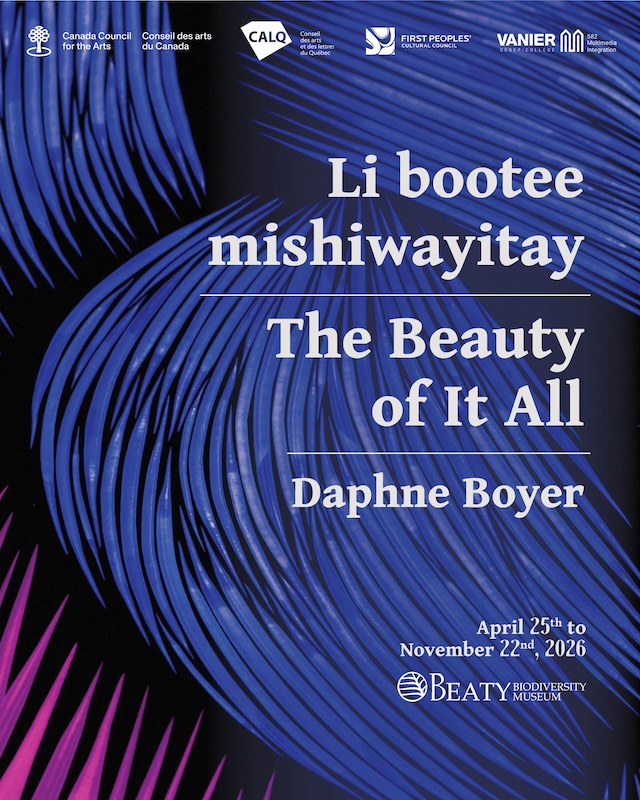Daphne Boyer the Beauty of it It