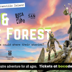 Me & The Forest on Granville Island