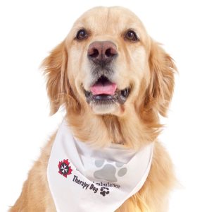 St. John Ambulance Therapy Dog Photo