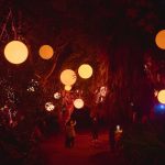Astra Lumina in Stanley Park - Photo Submitted
