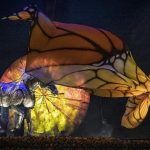 Cirque du Soleil LUZIA