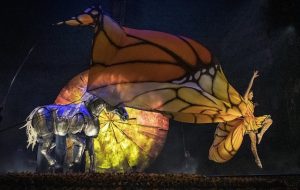 Cirque du Soleil LUZIA